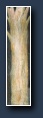 [Click to enlarge]
